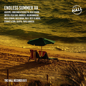 Endless Summer - VA cover
